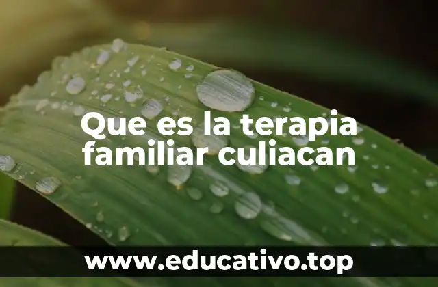 Que es la terapia familiar culiacan