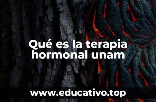 Qué es la terapia hormonal unam