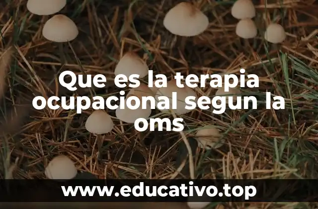 Que es la terapia ocupacional segun la oms