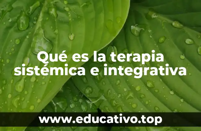 Qué es la terapia sistémica e integrativa