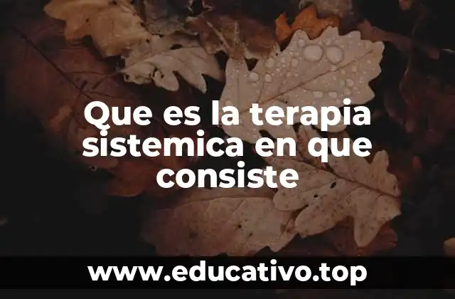El enfoque sistémico en la resolución de conflictos familiares
