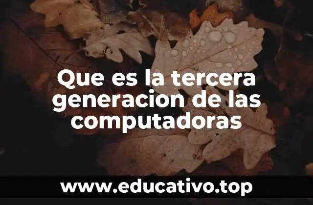 Que es la tercera generacion de las computadoras
