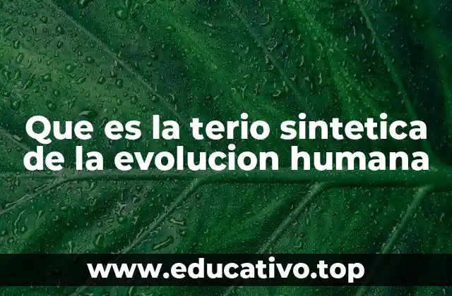 Que es la terio sintetica de la evolucion humana