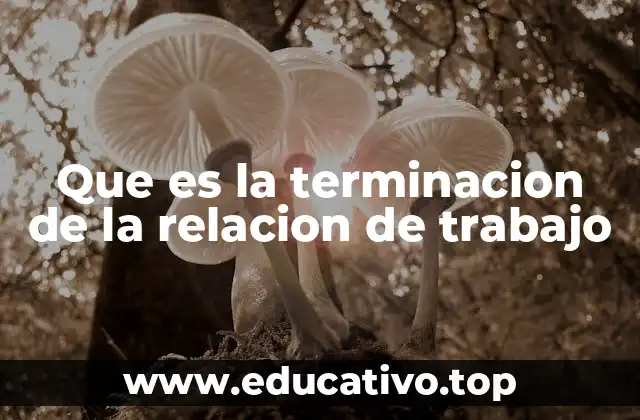 Que es la terminacion de la relacion de trabajo