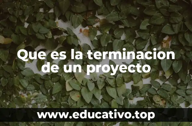 Que es la terminacion de un proyecto