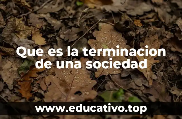 Que es la terminacion de una sociedad
