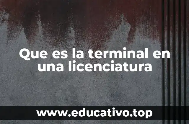 Que es la terminal en una licenciatura