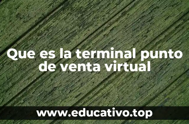 Que es la terminal punto de venta virtual