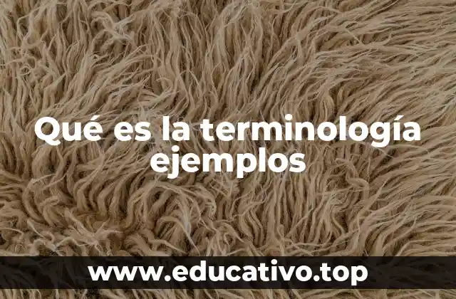 Qué es la terminología ejemplos