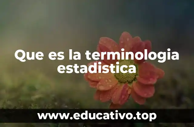 Que es la terminologia estadistica