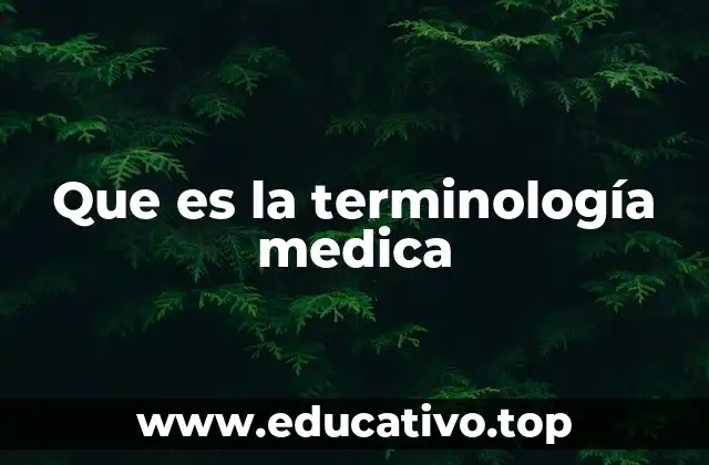 Que es la terminología medica