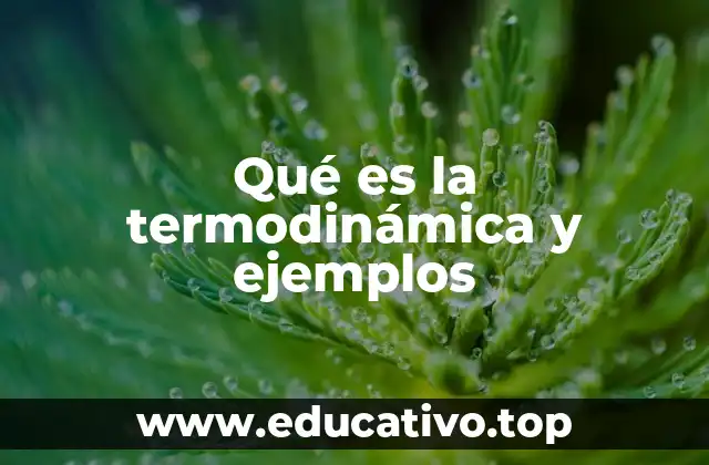Qué es la termodinámica y ejemplos