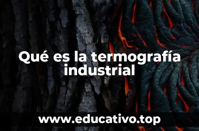 Qué es la termografía industrial