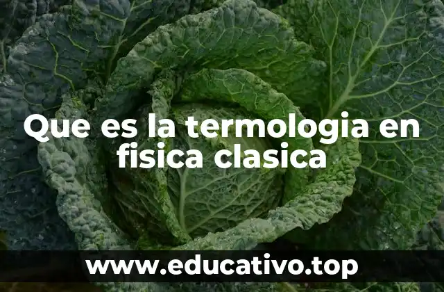 Que es la termologia en fisica clasica