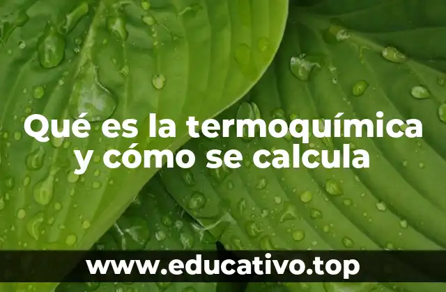 Qué es la termoquímica y cómo se calcula