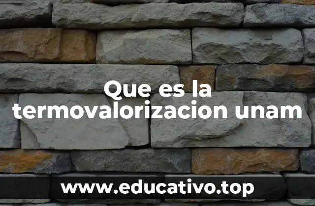 Que es la termovalorizacion unam