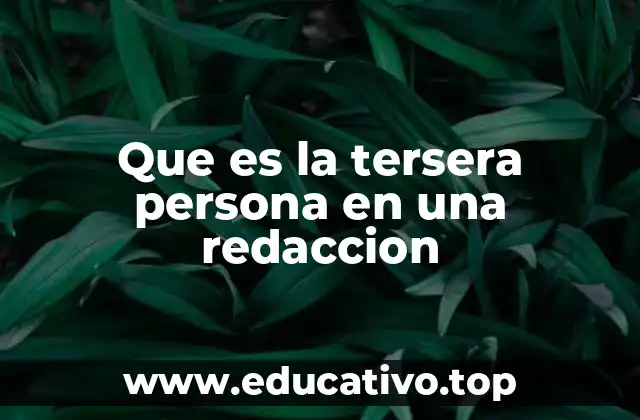 Que es la tersera persona en una redaccion
