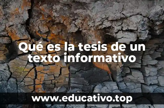 Qué es la tesis de un texto informativo