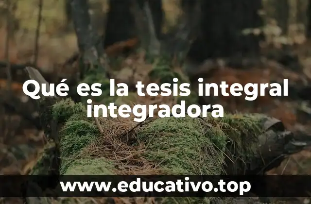 Qué es la tesis integral integradora