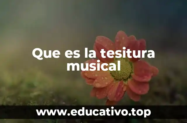 Que es la tesitura musical