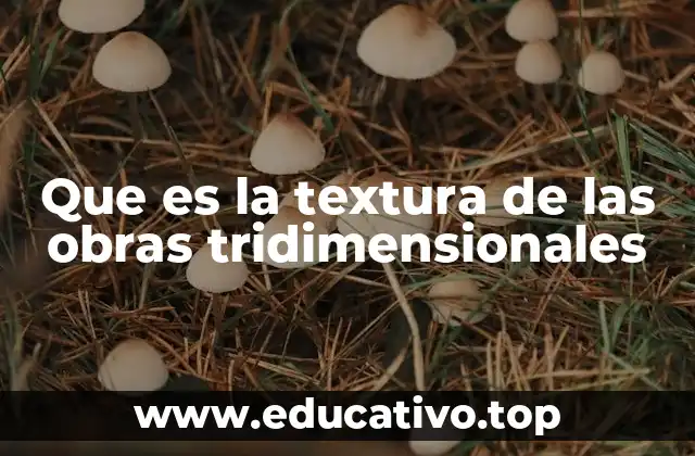 Que es la textura de las obras tridimensionales