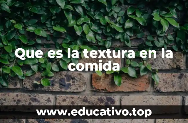 Que es la textura en la comida