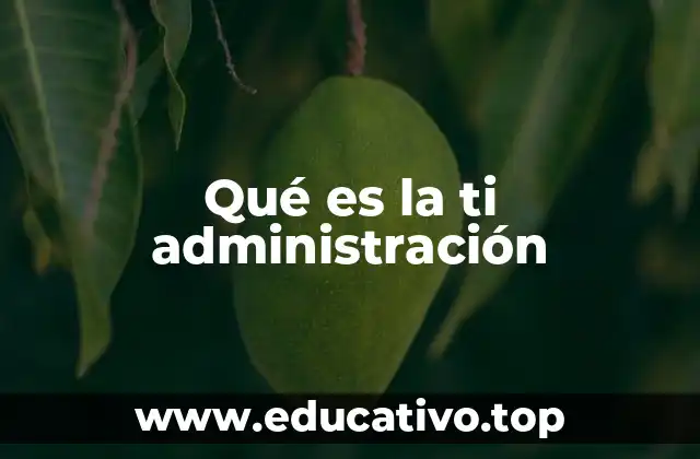 Qué es la ti administración