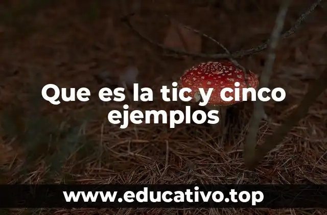 Que es la tic y cinco ejemplos