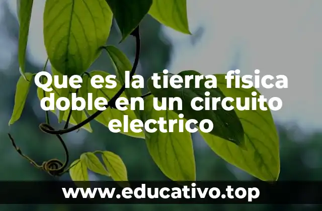 Que es la tierra fisica doble en un circuito electrico