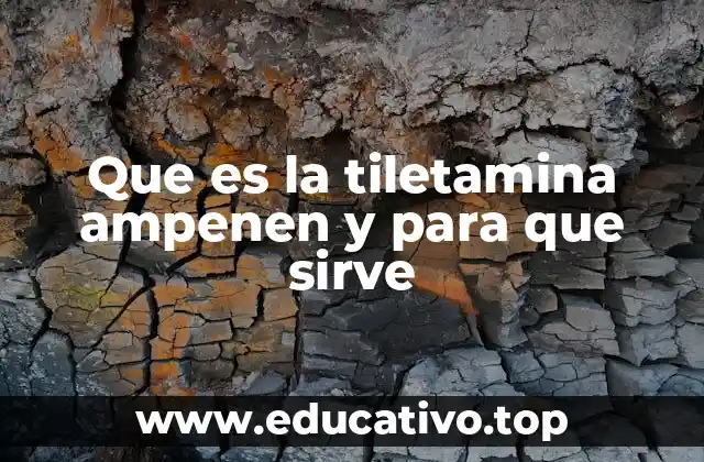 Que es la tiletamina ampenen y para que sirve