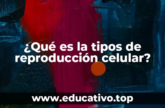 ¿Qué es la tipos de reproducción celular?