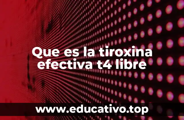 Que es la tiroxina efectiva t4 libre