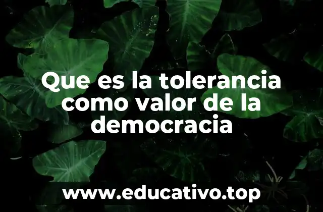 Que es la tolerancia como valor de la democracia