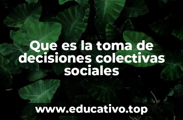 Que es la toma de decisiones colectivas sociales