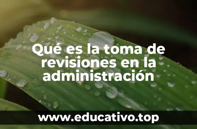 Qué es la toma de revisiones en la administración