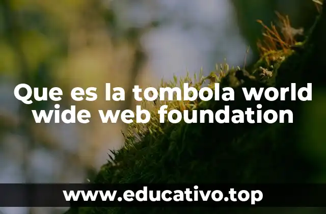 Que es la tombola world wide web foundation