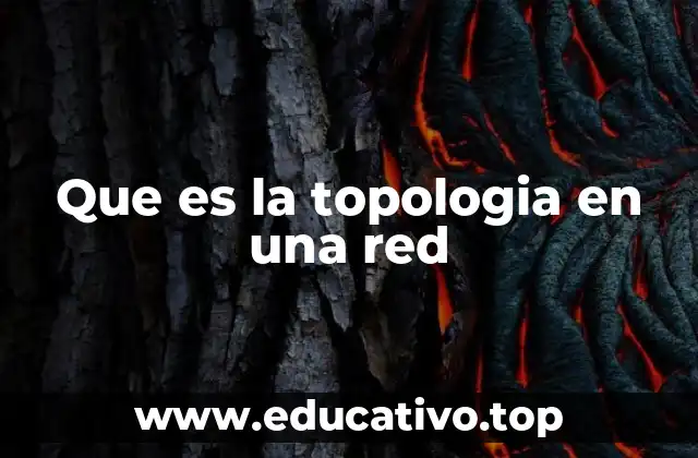 Que es la topologia en una red