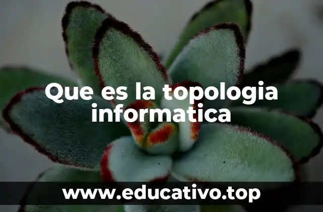 Que es la topologia informatica