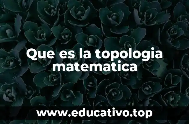 Que es la topologia matematica