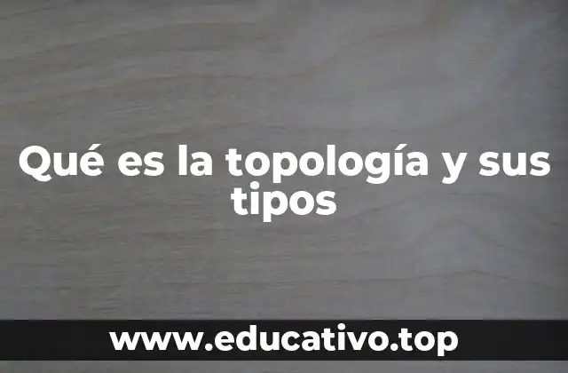 Qué es la topología y sus tipos