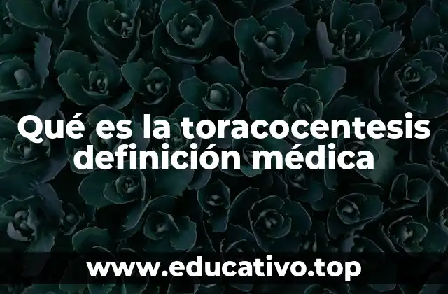 Qué es la toracocentesis definición médica