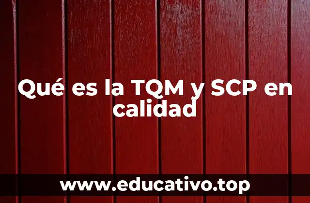 Qué es la TQM y SCP en calidad