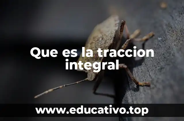 Que es la traccion integral