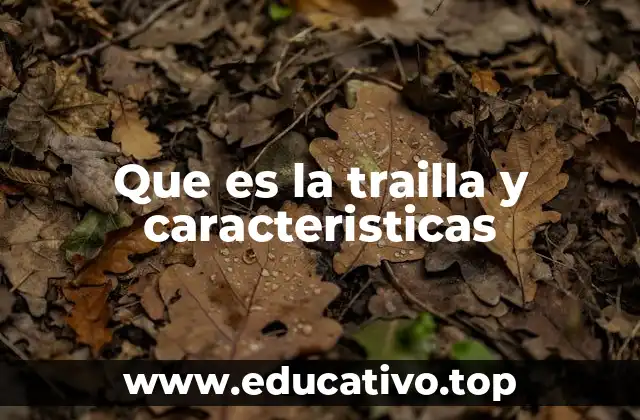 Que es la trailla y caracteristicas