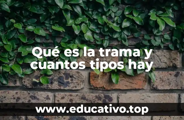 Qué es la trama y cuantos tipos hay