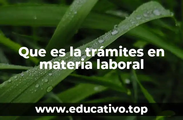 Que es la trámites en materia laboral