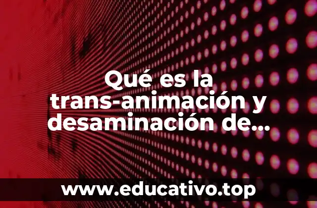 Qué es la trans-animación y desaminación de proteínas