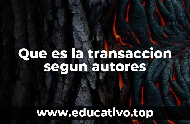 Que es la transaccion segun autores