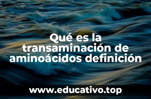 Qué es la transaminación de aminoácidos definición