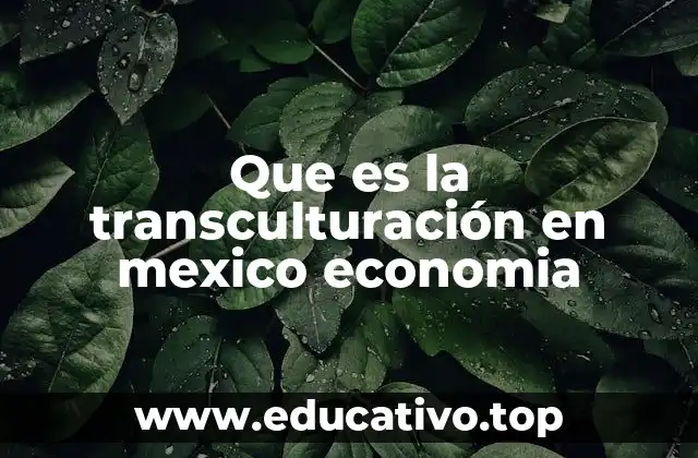 Que es la transculturación en mexico economia